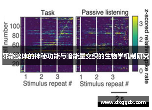 邪能腺体的神秘功能与暗能量交织的生物学机制研究