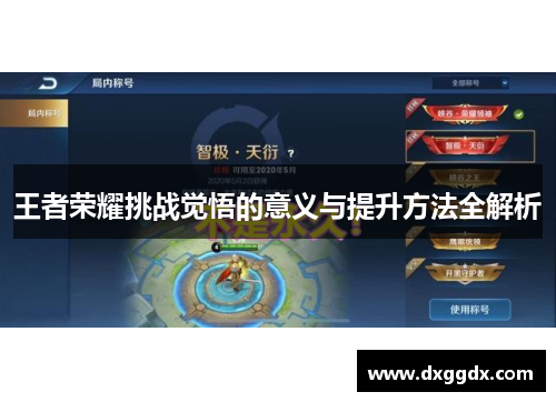 王者荣耀挑战觉悟的意义与提升方法全解析
