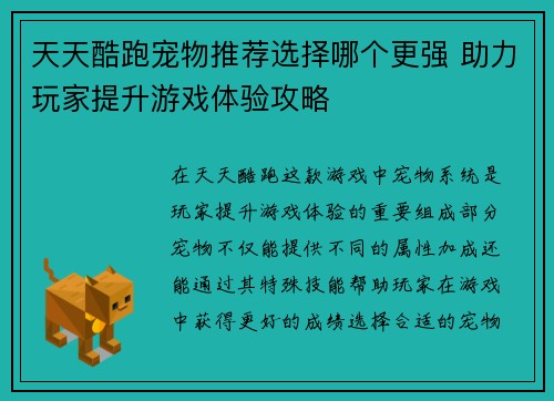 天天酷跑宠物推荐选择哪个更强 助力玩家提升游戏体验攻略