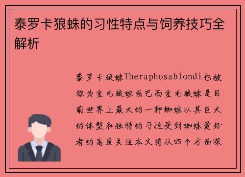 泰罗卡狼蛛的习性特点与饲养技巧全解析